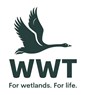 Wildfowl & Wetlands Trust